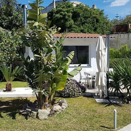 Casa Vacanza M&C Ischia Forio di Ischia Extérieur photo