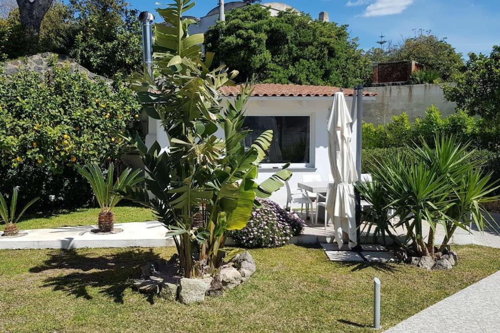 Casa Vacanza M&C Ischia Forio di Ischia Extérieur photo
