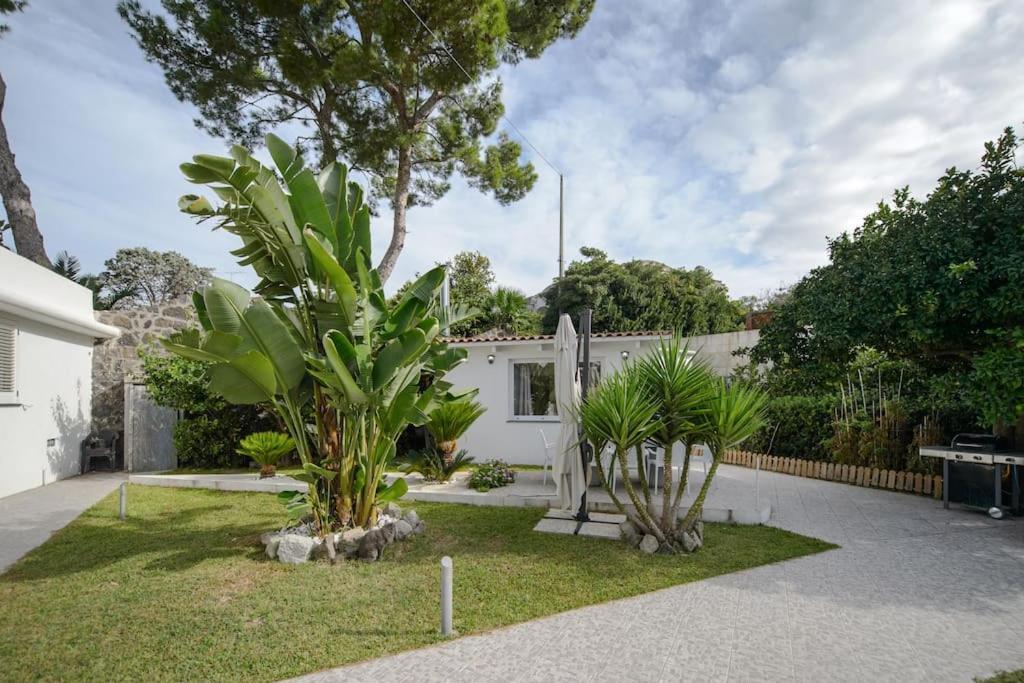 Casa Vacanza M&C Ischia Forio di Ischia Extérieur photo
