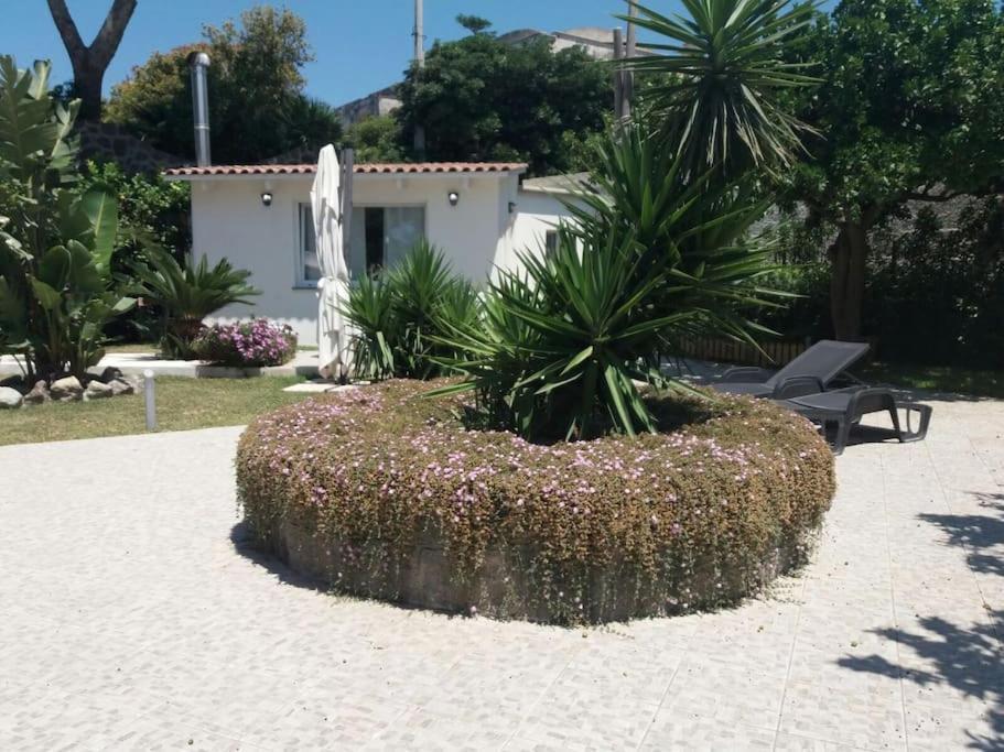 Casa Vacanza M&C Ischia Forio di Ischia Extérieur photo