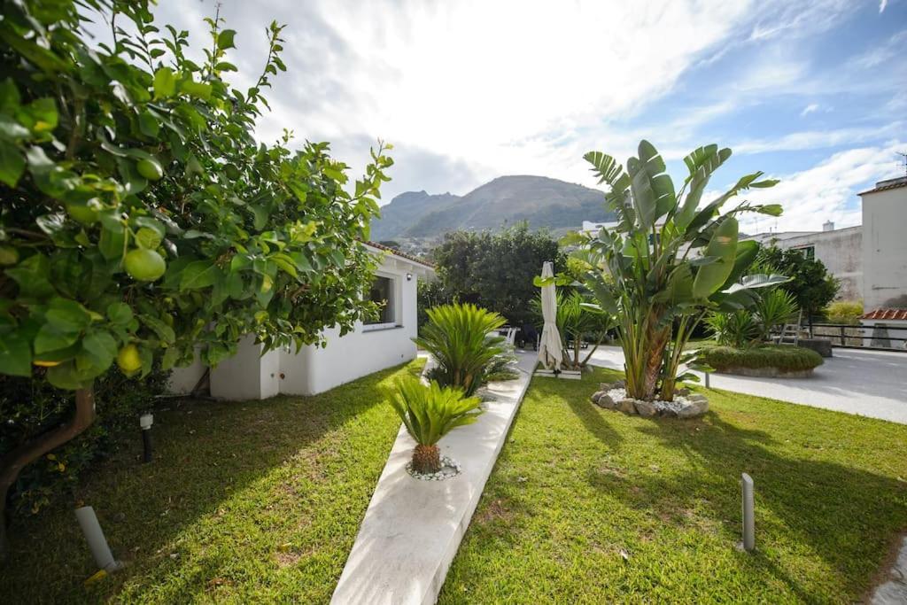 Casa Vacanza M&C Ischia Forio di Ischia Extérieur photo