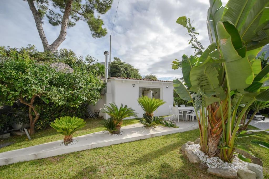 Casa Vacanza M&C Ischia Forio di Ischia Extérieur photo
